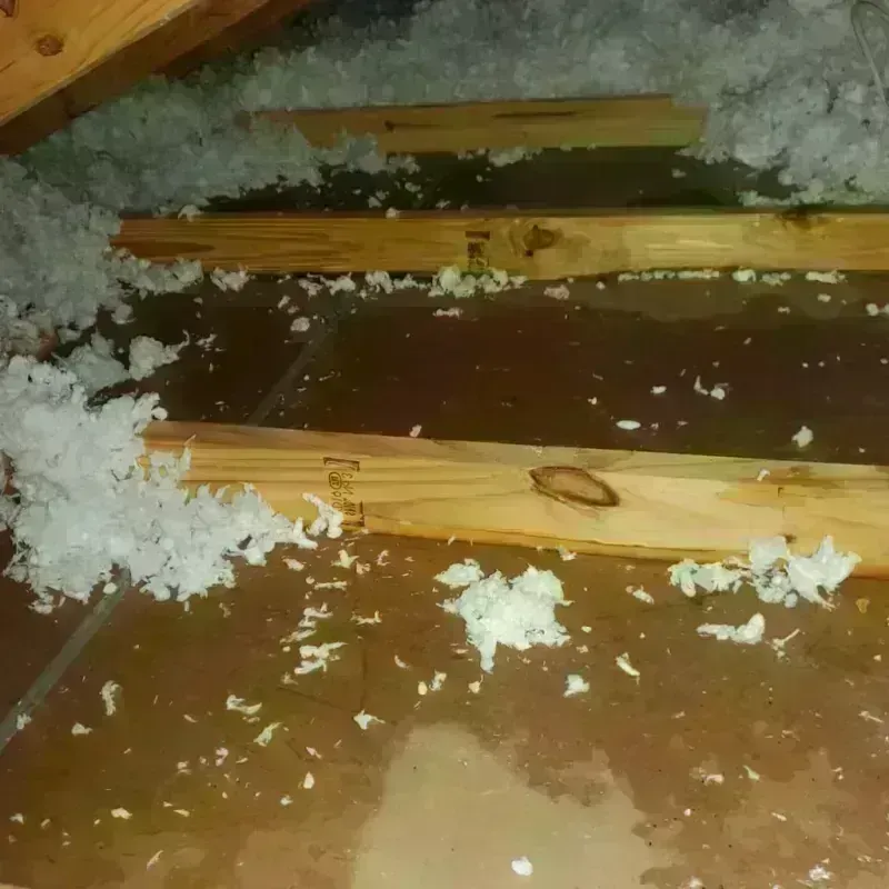 Attic Water Damage in Englishtown, NJ