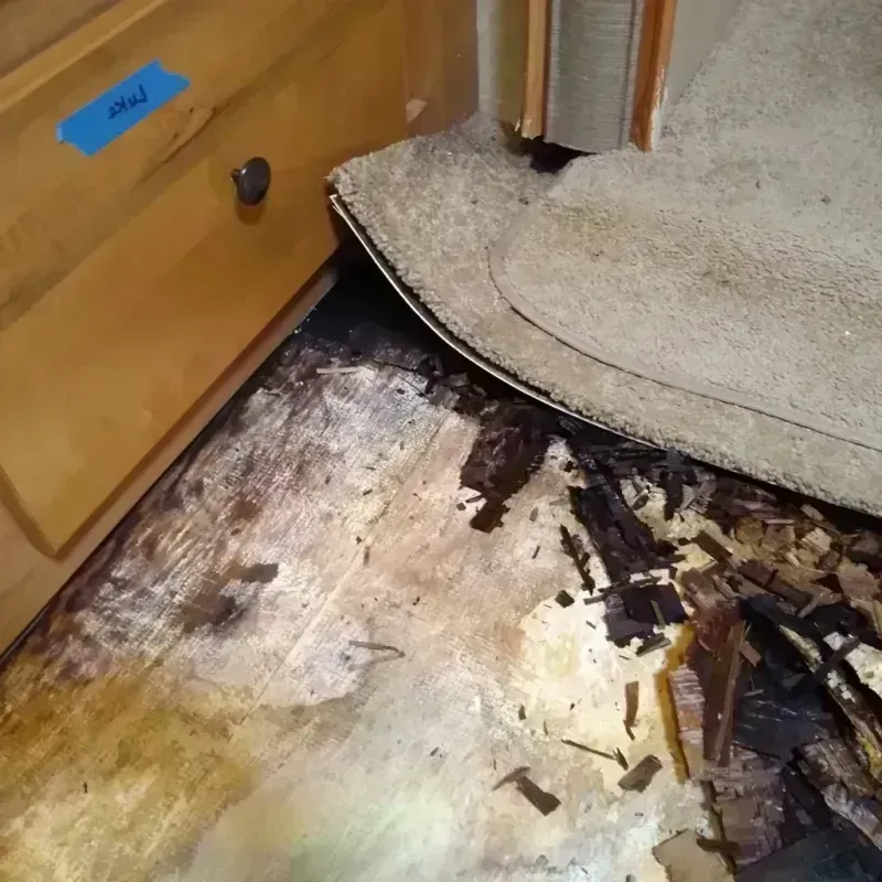 Wood Floor Water Damage in Englishtown, NJ